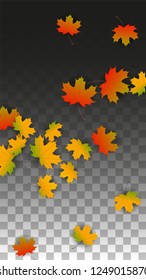 October Vector Background with Golden Falling Leaves. Autumn Illustration with Maple Red, Orange, Yellow Foliage. Isolated Leaf on Transparent Background. Bright Swirl. Suitable for Banners.