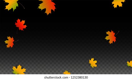 October Vector Background with Golden Falling Leaves. Autumn Illustration with Maple Red, Orange, Yellow Foliage. Isolated Leaf on Transparent Background. Bright Swirl. Suitable for Banners.