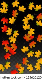 October Vector Background with Golden Falling Leaves. Autumn Illustration with Maple Red, Orange, Yellow Foliage. Isolated Leaf on Transparent Background. Bright Swirl. Suitable for Cards.