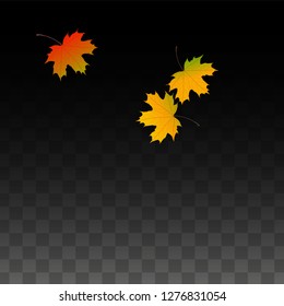 October Vector Background with Golden Falling Leaves. Autumn Illustration with Maple Red, Orange, Yellow Foliage. Isolated Leaf on Transparent Background. Bright Swirl. Suitable for Posters.
