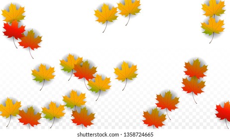 October Vector Background with Golden Falling Leaves. Autumn Illustration with Maple Red, Orange, Yellow Foliage. Isolated Leaf on Transparent Background. Bright Swirl. Suitable for Banners.