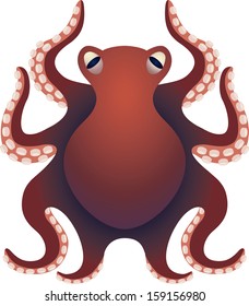 Octopus