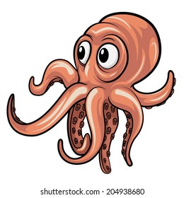 Octopus 