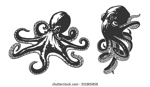 Octopus