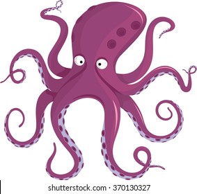 octopus