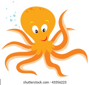 Octopus