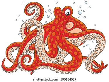 octopus
