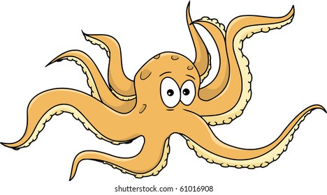 octopus