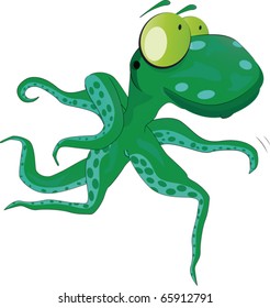 octopus