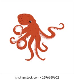 Octopus For Animal Vector Illustration