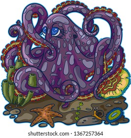 octopus beautiful marine 