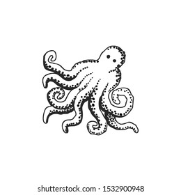 Octopus black vector icon isolated on a white background 