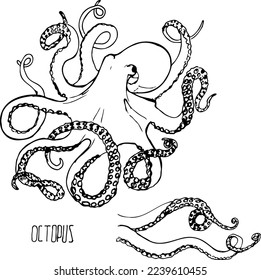 Octopus black and white vector set isolated on a white background.