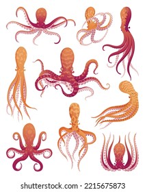 Octopus cartoon flat characters set. Aquatic fauna icons. Animals illustration for zoo ad, nature concept. Cute color octopuses, sea animals with tentacles