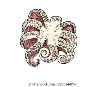 Octopus cartoon sea animal design vector illustration isolated on white background