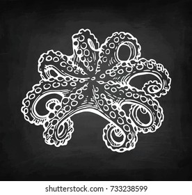 Octopus chalk sketch on blackboard background. Hand drawn vector illustration of seafood. Retro style.