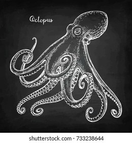 Octopus chalk sketch on blackboard background. Hand drawn vector illustration of seafood. Retro style.