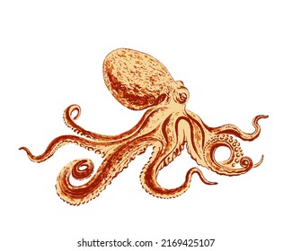 Octopus Color Brush Paint Texture Vector Stock Vector (Royalty Free ...