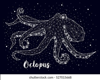 Octopus constellation