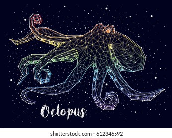 Octopus constellation