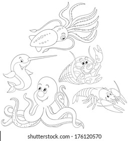 Octopus, crawfishes, narwhal and squid