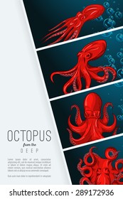 Octopus in deep. Color vector illustration or emblem. Stylized image of octopus. Design element. Logo. Flyer, poster template.