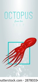 Octopus in deep. Vector color illustration on gradient background with decorative element. close up. Octopus, lettering, bubble, lights. Template, poster, flyer, invitation to party, print, tattoo.