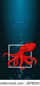 Octopus in deep. Vector color illustration on gradient background with decorative element. close up. Octopus, lettering, bubble, lights. Template, poster, flyer, invitation to party, print, tattoo.