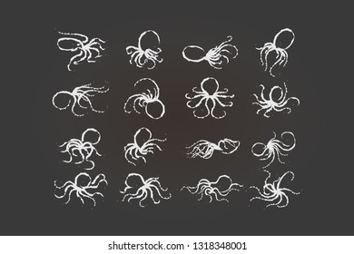 Octopus design in 16 different postures, free hands, technique,illustration,Icon,Vector