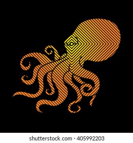 Octopus designed using line graphic vector.