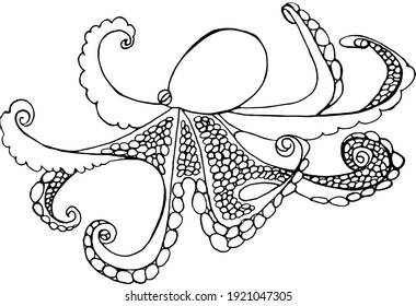 Octopus Doodle On White Background, Octopus Coloring Book, Coloring Octopus For Child. Doodle Octopus Coloring Book Page. 