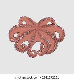 octopus doodles animal sea food art