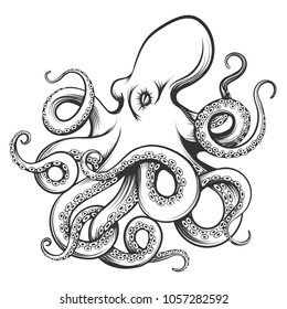 Octopus drawn in engraving style. Isolated on white background. Vector Illustration.