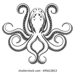 Octopus drawn in engraving vintage style. Vector illustration isolated on white background.