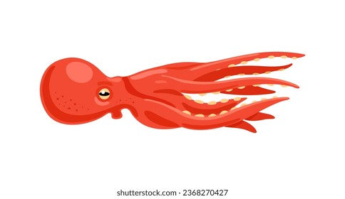 Octopus. Dweller of the sea. Vector illustration on a white background.