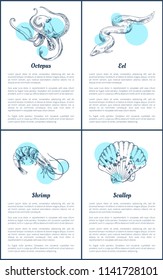 Octopus and eel posters set with headlines, text sample. Shrimp and scallop unprepared marine ingredients of exquisite dishes vector illustration