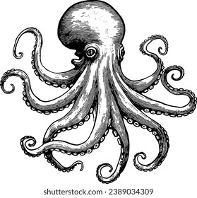 octopus engraving style vector detailed illustration in high resolution Print for printing