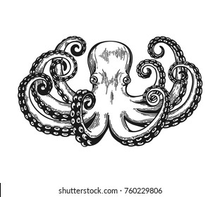 Octopus engraving. Vintage black engraving illustration. Retro style card. Isolated on white background. Vector illustration