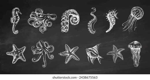 Octopus, fish, starfish, seahorses, jellyfish set. Hand drawn sketch illustration on chalkboard background. Collection of realistic sketches of various ocean creatures isolated on white background.