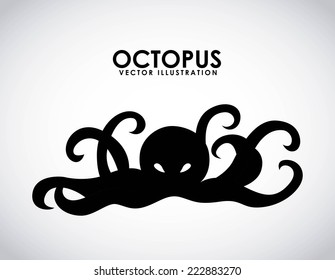 octopus graphic design , vector illustration