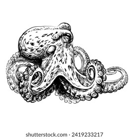 Octopus. Graphic portrait of an octopus in sketch style. Digital vector graphics