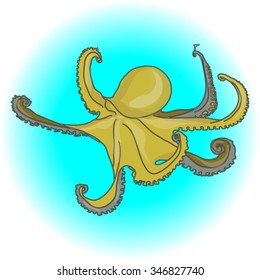 octopus green isolated white background