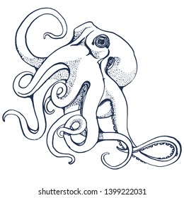 octopus ,hand drawing, isolated on white background vector