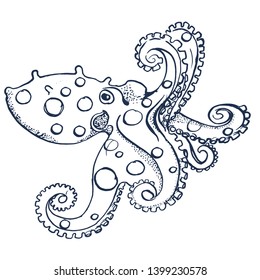 octopus ,hand drawing, isolated on white background vector