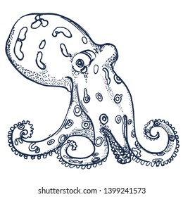 octopus ,hand drawing, isolated on white background vector