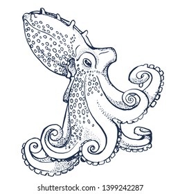 octopus ,hand drawing, isolated on white background vector