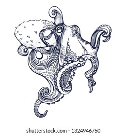 octopus, hand drawing, vector illustration isolated on white background