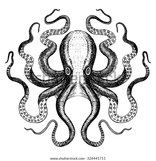 Octopus Hand Drawn Sea Monster Stock Vector (Royalty Free) 326441711