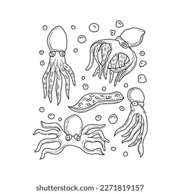octopus handrawn doodle illustrations vector set