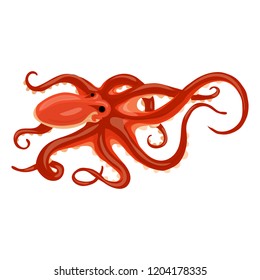 Octopus icon. Cartoon of octopus vector icon for web design isolated on white background